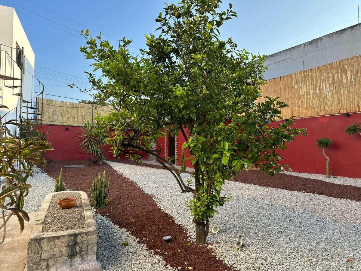 Posada Independencia Oaxaca Ngoại thất bức ảnh